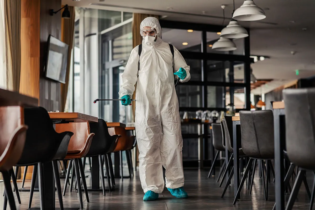 Cafe Pest Control