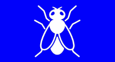Pest Control Sydney