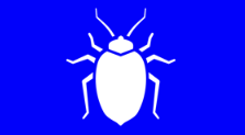 Pest Control Sydney