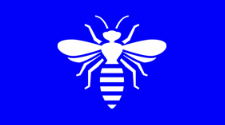 Pest Control Sydney
