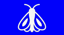 Pest Control Sydney