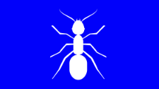 Pest Control Sydney