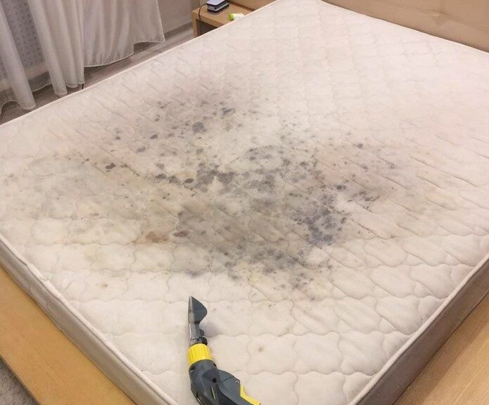 Carpet Cleaning