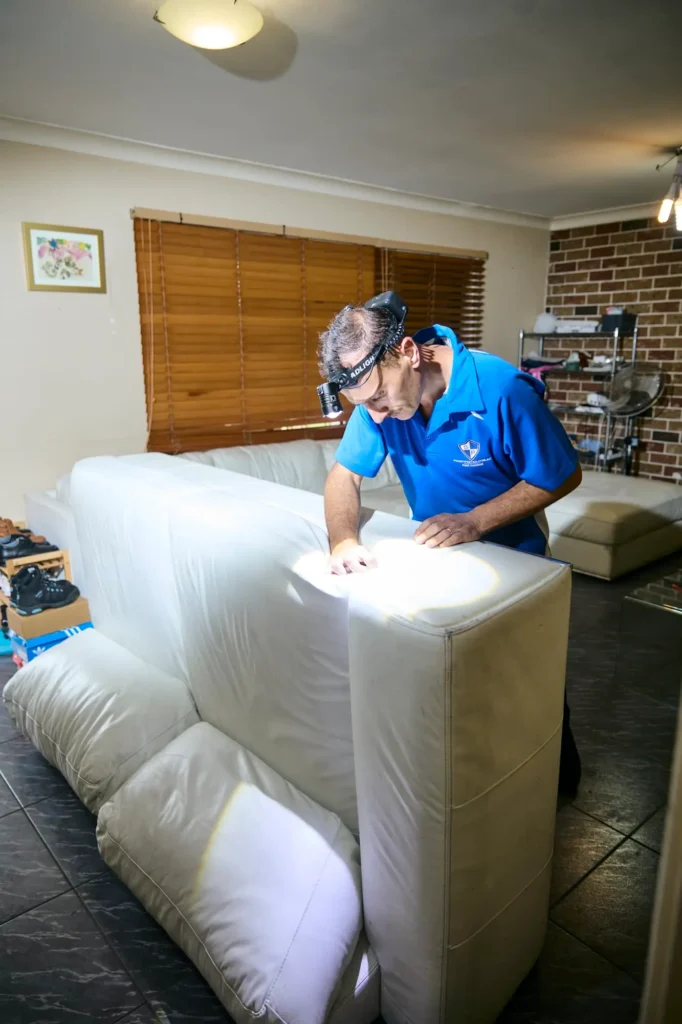 Blacktown Pest Control